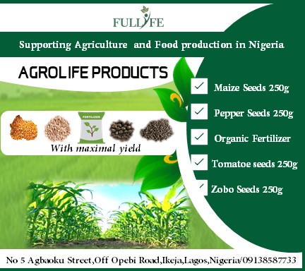 250g Zobo Seeds
